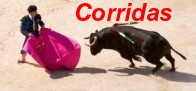 Image g�n�rique illustrant le type Populaires/Traditionnelles et le sous type Corridas